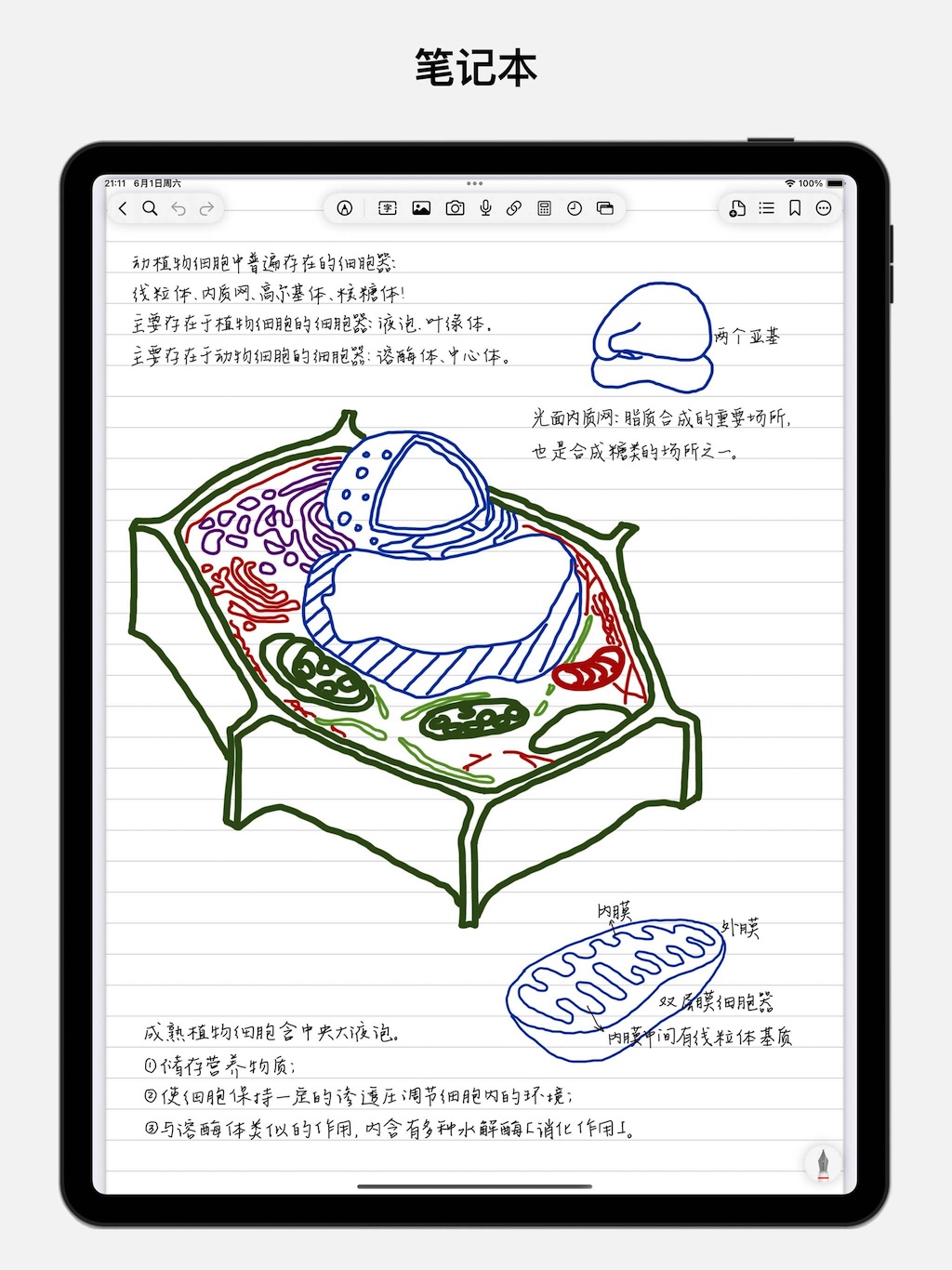 BoardNotes 宣传图 4